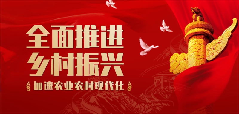 永倍达​电商平台有哪些功能